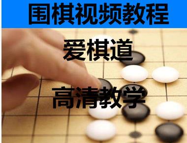 （爱棋道围棋特训营）教学视频