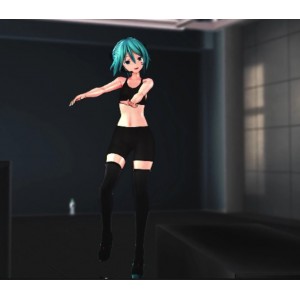 MMD视频合集：vvvl作品集，14个视频，6G空间