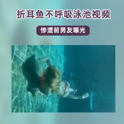 斗鱼女主播的泳池视频中的折耳鱼不呼吸