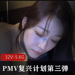 小H爆汁作品剪辑合集，PMV复兴计划第三弹[32V-5.6G]，国家观看无圣光